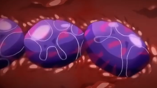 Thumbnail of post image 005