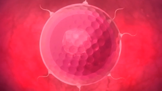 Thumbnail of post image 152