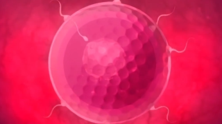 Thumbnail of post image 117